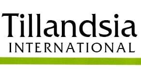 Tillandsia International logo